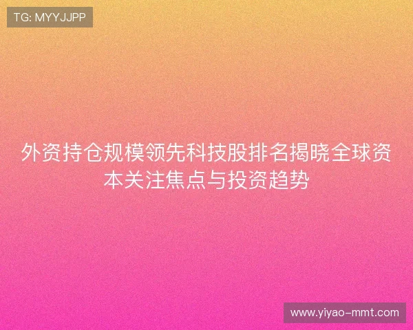 外资持仓规模领先科技股排名揭晓全球资本关注焦点与投资趋势 外资持仓规模领先科技股排名揭晓全球资本关注焦点与投资趋势